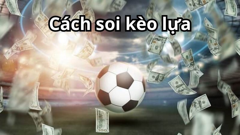 cách soi kèo lựa