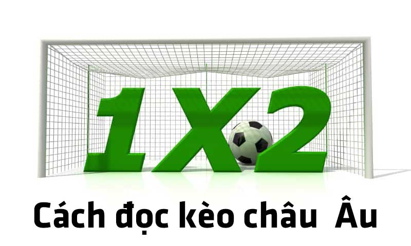 Cách đọc tỷ lệ kèo