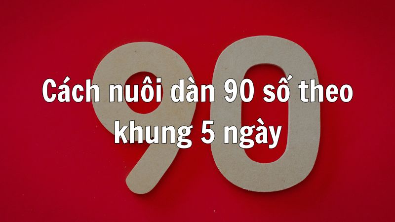 Cách nuôi dàn 90 số theo khung 5 ngày