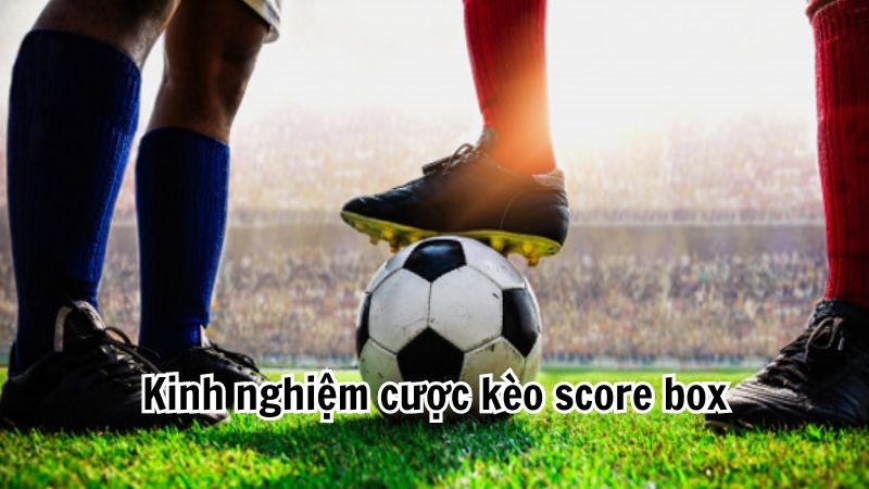 Kinh nghiệm cược kèo score box