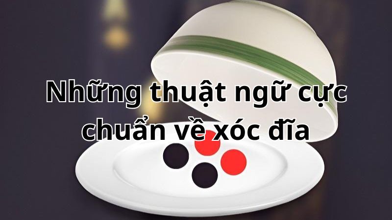 Những thuật ngữ cực chuẩn về xóc đĩa